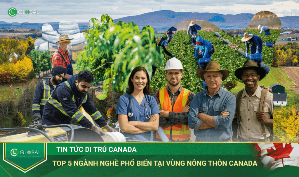 Top 5 Ngành Nghề Phổ Biến Tại Vùng Nông Thôn Canada