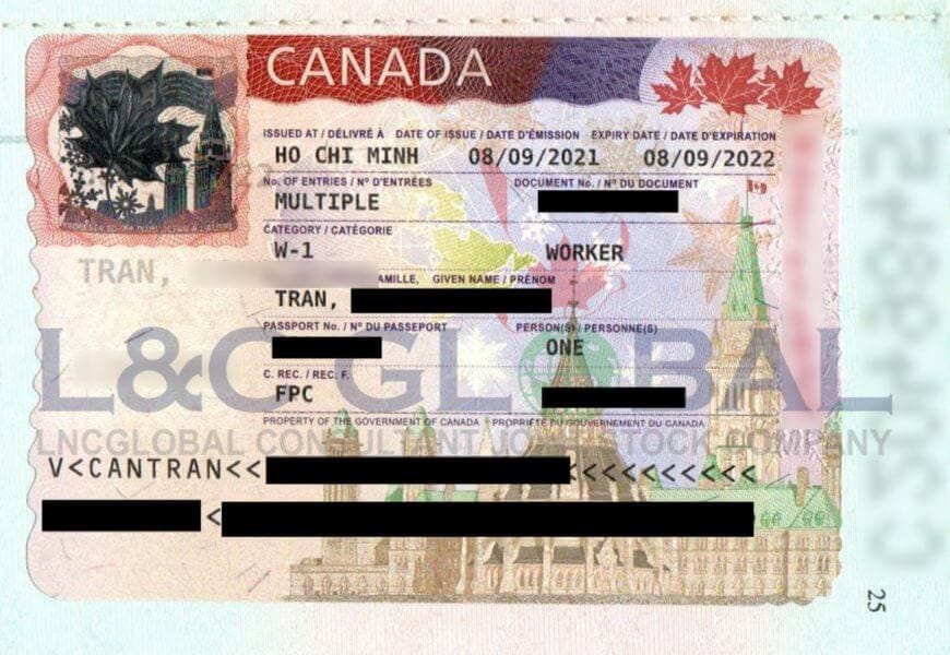 Câu chuyện thành công Will & Partners