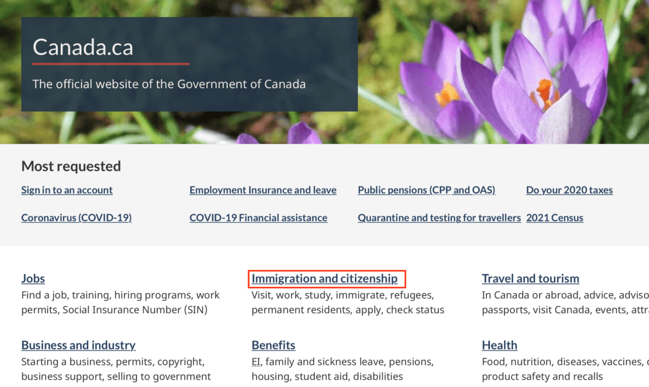 Hướng dẫn chi tiết cách kiểm tra tình trạng Visa Canada năm 2023 L&C Global