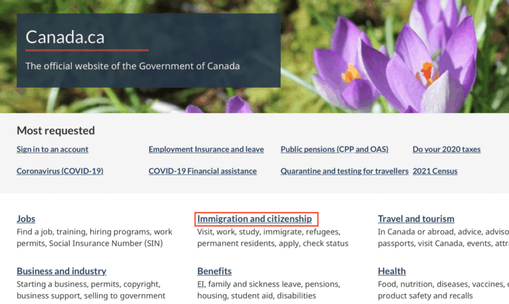 Hướng dẫn chi tiết cách kiểm tra tình trạng Visa Canada năm 2023 L&C Global