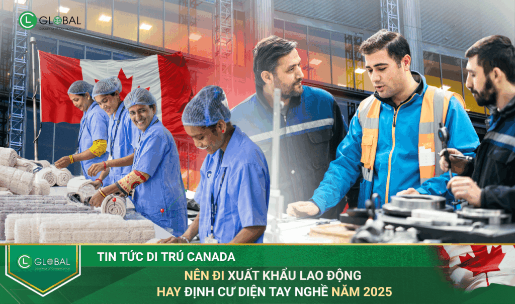 Nên Đi Xuất Khẩu Lao Động Hay Định Cư Diện Tay Nghề Năm 2025