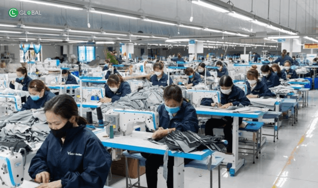 Nên Đi Xuất Khẩu Lao Động Hay Định Cư Diện Tay Nghề Năm 2025