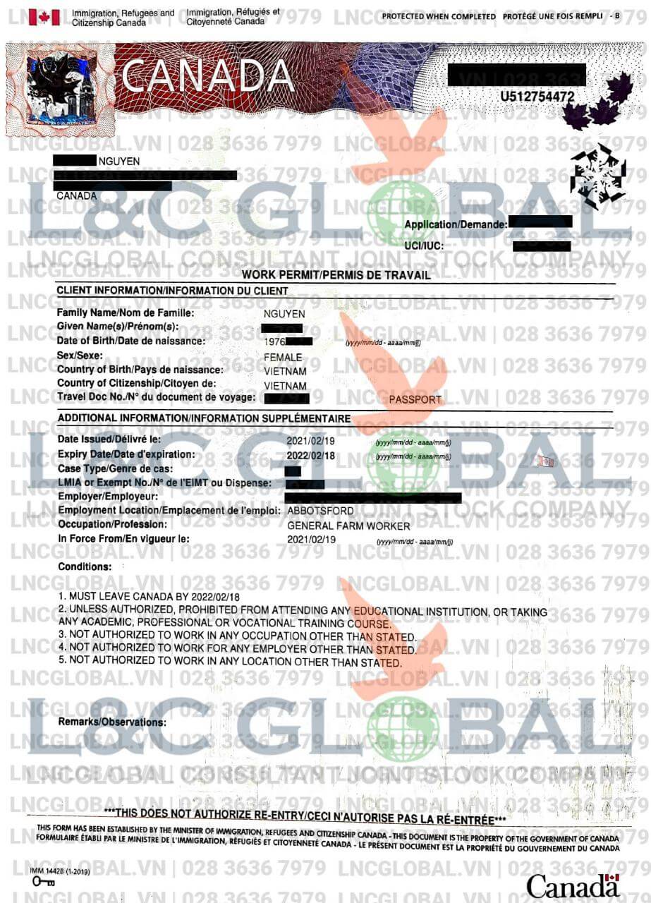lao động định cư canada lnc global