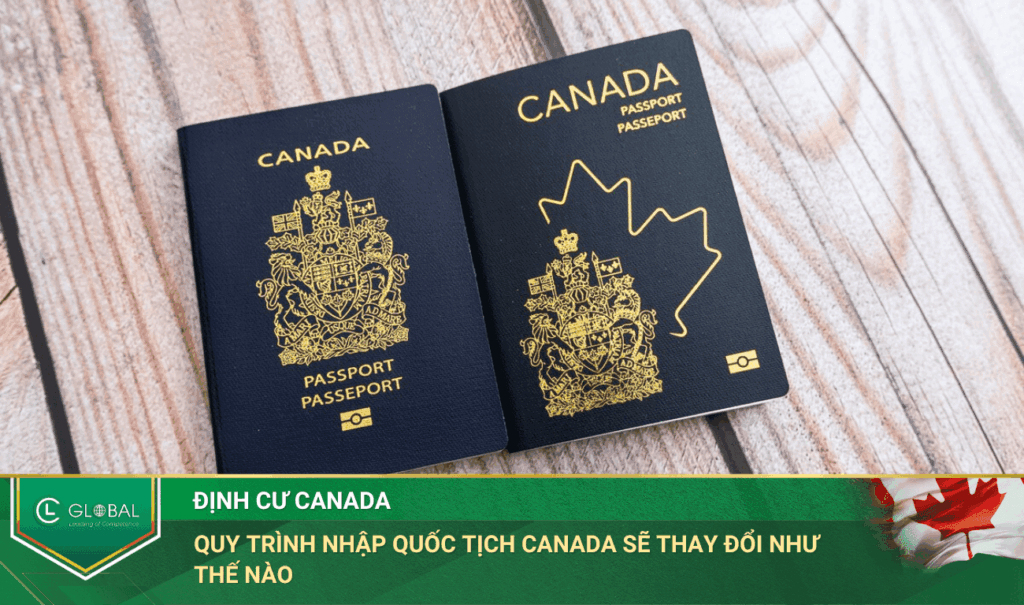 Cập Nhật Quy trình nhập quốc tịch Canada Năm 2025