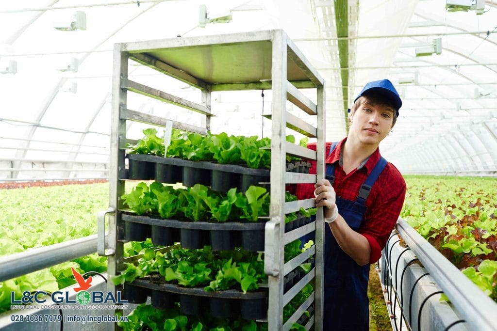 Việc làm nông trại ở Canada - Nên lựa chọn tỉnh bang nào để làm việc L&C Global -làm farm ở canada