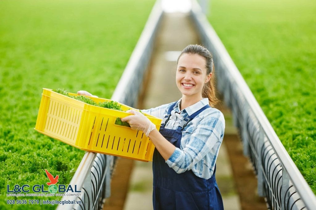 Việc làm nông trại ở Canada - Nên lựa chọn tỉnh bang nào để làm việc L&C Global - làm farm ở canada