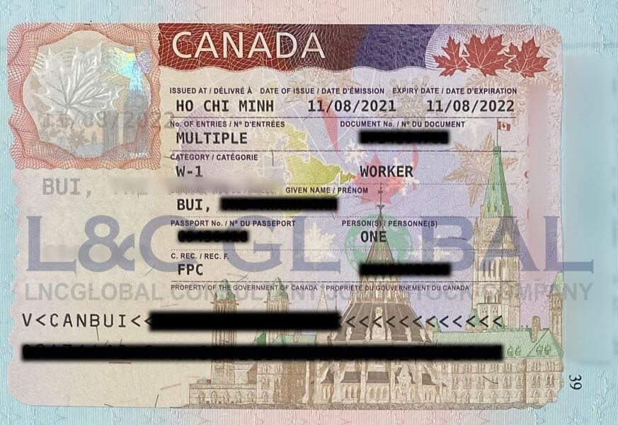 Câu chuyện thành công Will & Partners