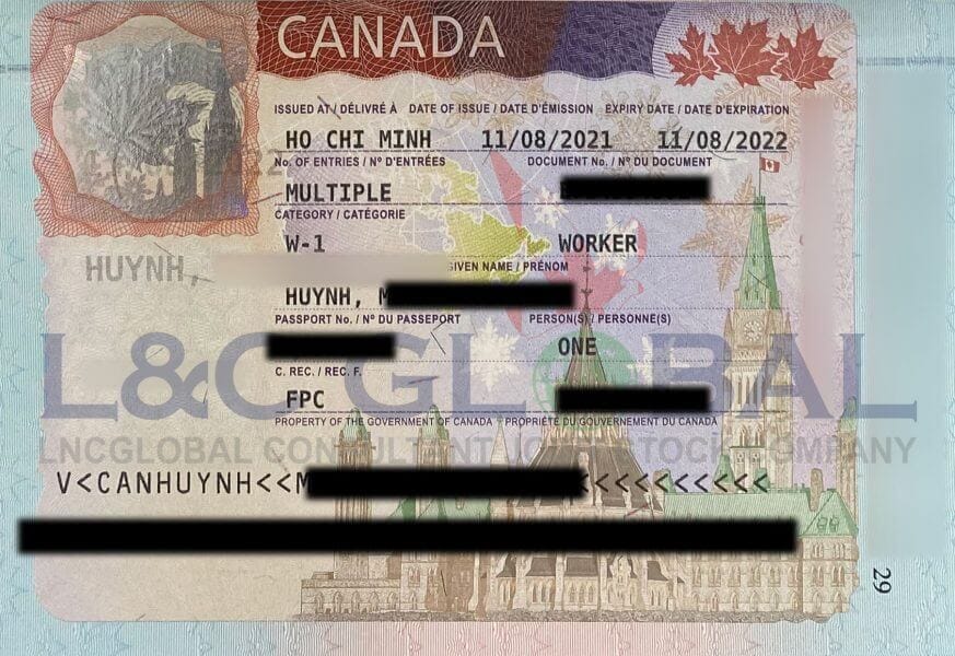 Câu chuyện thành công Will & Partners